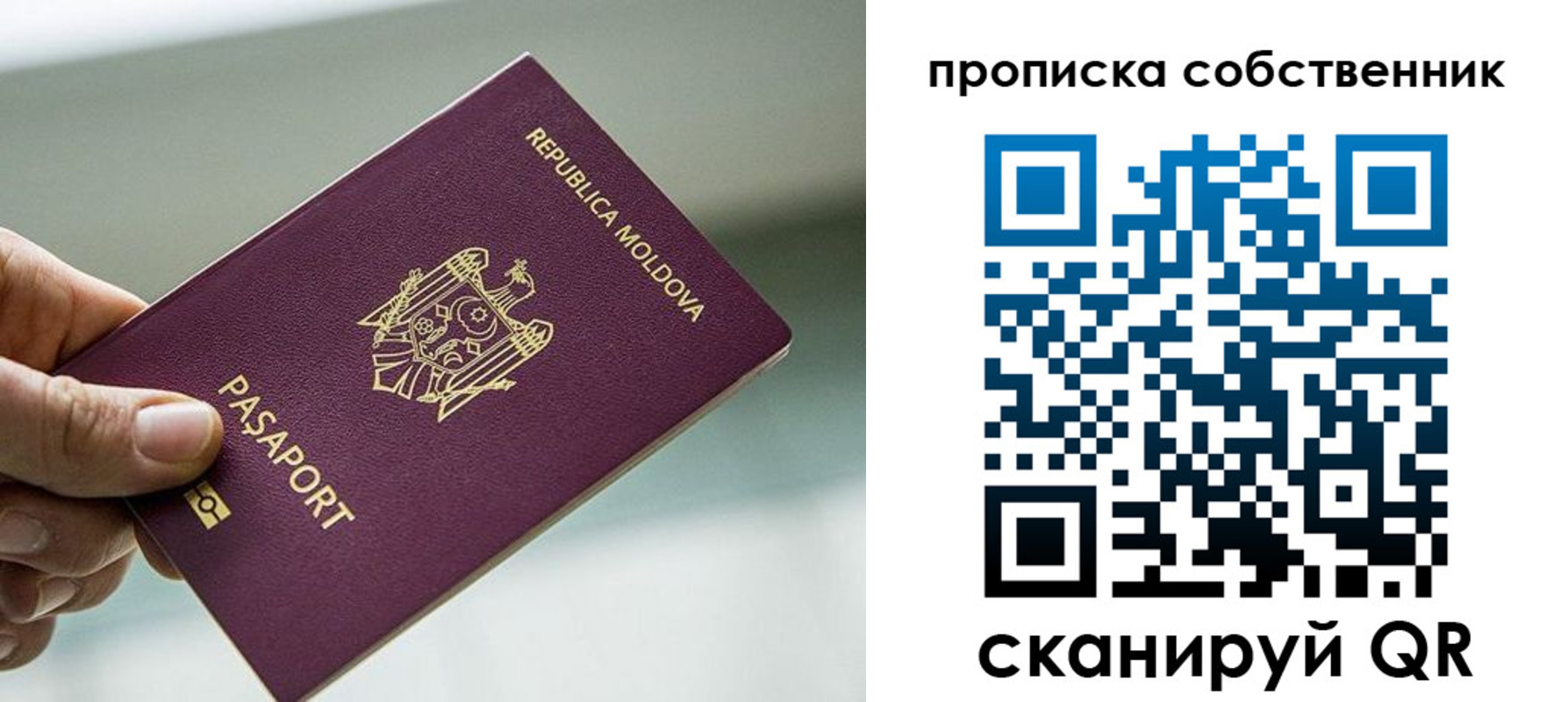 прописка паспорт в Ярославской области